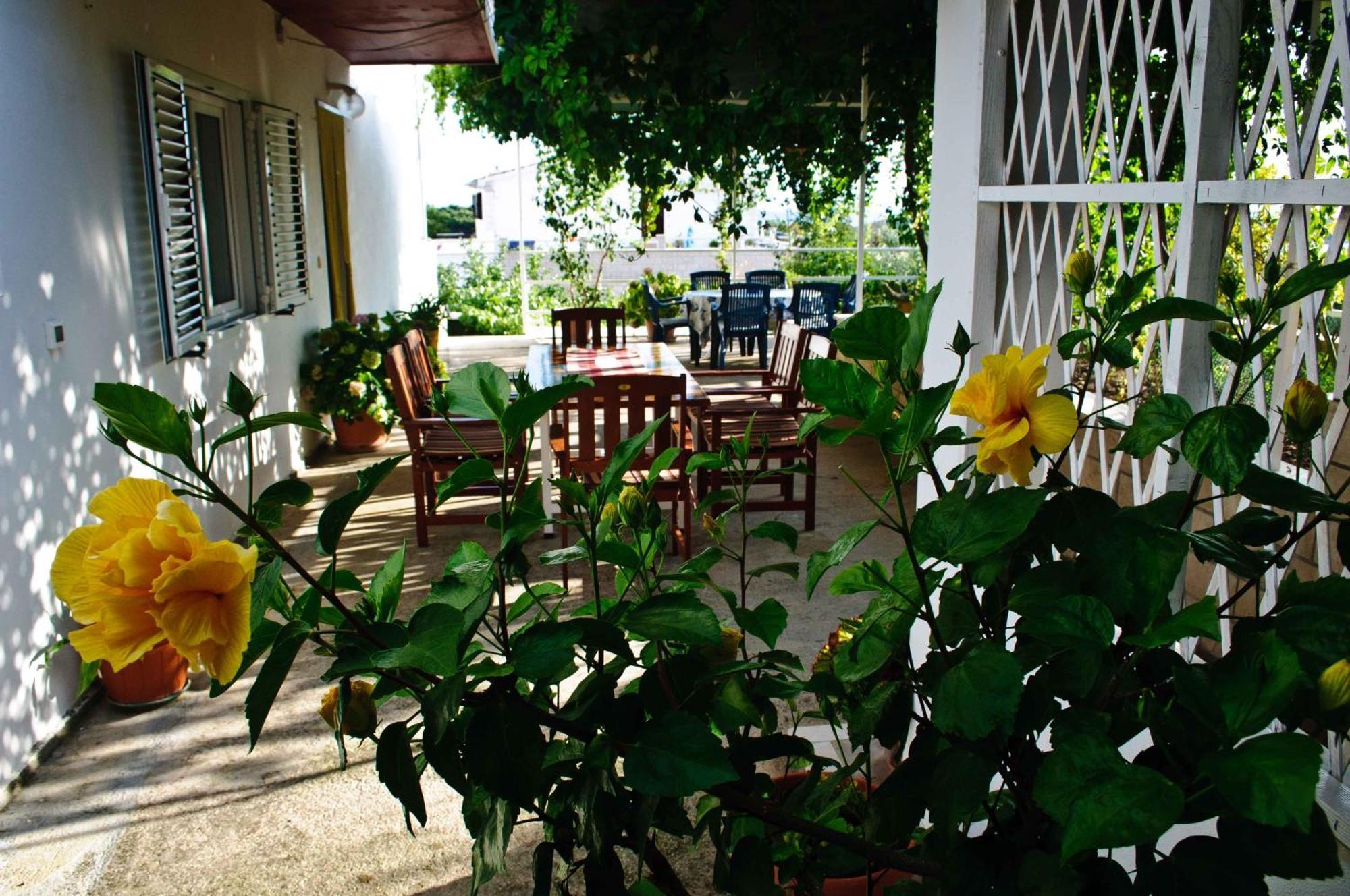 House Iliskovic